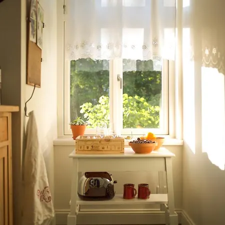 Vintage Studio Apartment